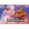 Gatos.anonimos 29