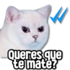🌈Memes pa Contestar✨ 11
