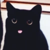 BLACKI BLACKI✧\(>o<)ﾉ✧ 15