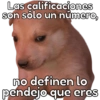 🐶Cheems Bebé🍼 15