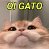 MEMES E REAÇÕES 😊😂 13