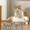 QUÉ DIJISTE
PENDEJO?