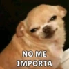 NO ME IMPORTA