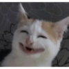 Karma 2 6