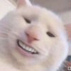 NOVOS MEMES AQUI! 14