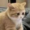 Twitter Reaction Pack V4 6