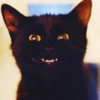 BLACKI BLACKI✧\(>o<)ﾉ✧ 13