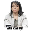Operación Mamut 2 9