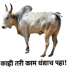 Marathi 12