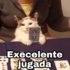 61232551 Execelente jugada Harley Stickers
