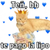 🐱🐾Mishis Para Tu Crush II💘😻  15
