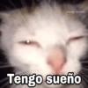 ✨Gatitos con frases😺✨5 12