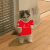 Manchester United 13