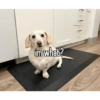 Homophobic dog 18