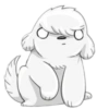 Cute dog 10