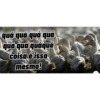 Zueirando 11