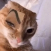 MIAU 8