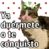 🐱🐾Mishis Para Tu Crush II💘😻  13