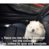Enojada 8