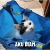 FUN
hu
greate
AKU DIAM
