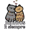 Michis del amor 💕🐱 8