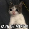 Reacciones TRISTES 🥺😔 6