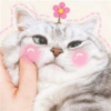 Gatitos tiernos :3 20