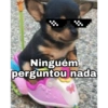 O melhores memes 2020 5
