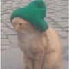 GATOS LOCOS 2 26