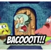 BACOOOTT!!
68