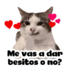 Super tiernos ❤️ 8