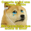 Perritos con canciones Sad 11