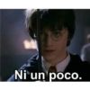 Harry Potter a stikers 13