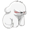 Cute dog 6