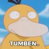 Psyduck x Pikachu 10