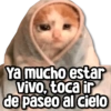 🌈Memes pa Contestar✨ 7