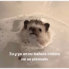 Tu y yo en mi bañera chikita
no se piénsalo