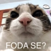 Chicória Maria #3 20