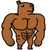 Chigüires (Capibara) 19
