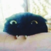 BLACKI BLACKI✧\(>o<)ﾉ✧ 7