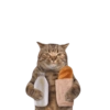 Cats Chapter 1 10
