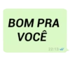 MENSAGENS DO ZAP 😼 17
