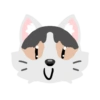 Pack de gatita graciosa 2 14