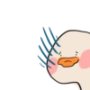 The duck 12