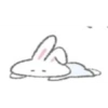 Conejitos soft 6