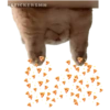 STICKERSMN