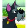 Lady and the tramp 11
