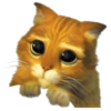 🐱🐾🐈 Cats l 🐈🐾🐱 12