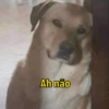Aqueles memes variados 😂 8