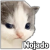 🚫Memes que no viste4🚫 17